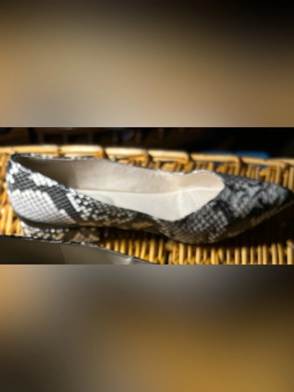 Pointed Toe Snake-Print Flats - White/Black from Katherine Kelly, size 7.5